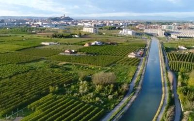 Turisme de Lleida busca la implicació de les empreses agràries de l’Horta de Lleida