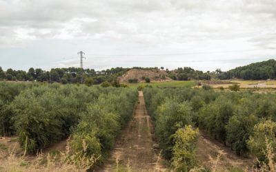 Lleida en el pòdium agroalimentari?